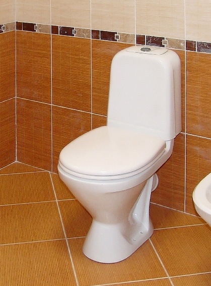 Унитаз-компакт Sanita Самарский эконом 350х653х810 напольный, 1- режимный слив, в комплекте с сидень фото 2